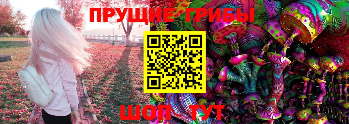 Галлюциногенные грибы Psilocybe Сафоново