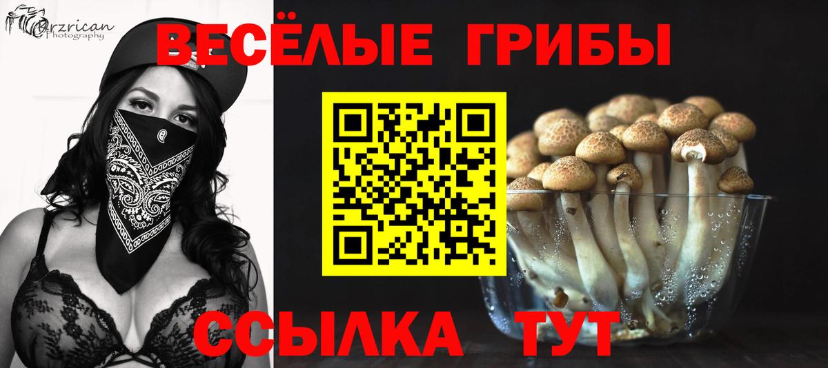 Галлюциногенные грибы Psilocybe  Вход с VPN  Сафоново 